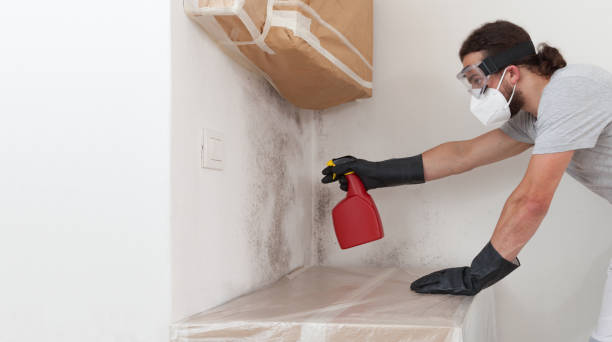 Professional Hvac And Air Duct Mold Remediation technician working in Zarephath, NJ